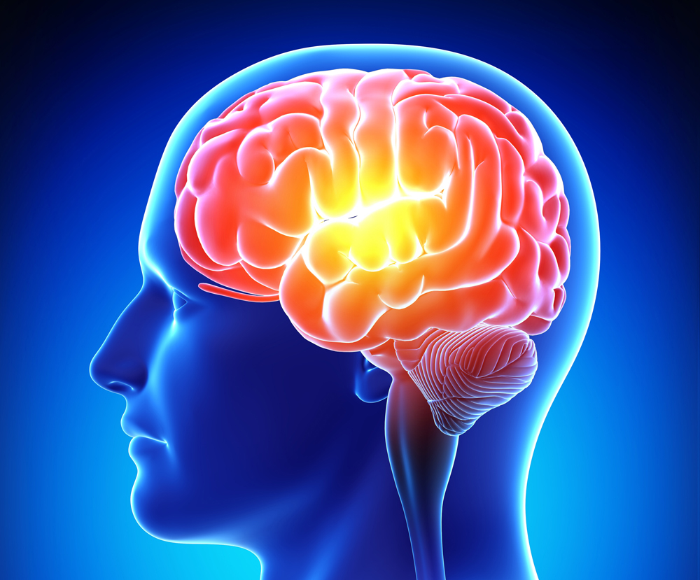 Brain Power